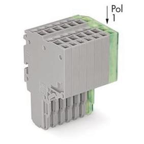 X-COM-S-2L FL 8P Klemmen Auflagebock in Grau mit PE-Anfangsmodul - 2020-208/000-036