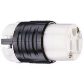 PASS & SEYMOUR Netzsteckdose 2P NEMA 5-15R 125V/15A – Ideal für USA